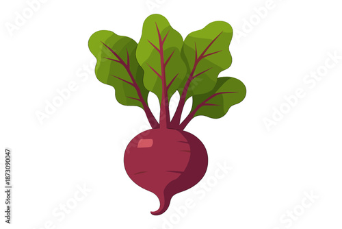 Bright red beet with green leaves standing out on a white background during a digital illustration session