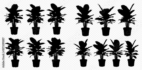 Silhouette Plant Collection An Assortment of Potted Plants for Interior Design Elements and Black Minimalist Decoration Aesthetics for Creative