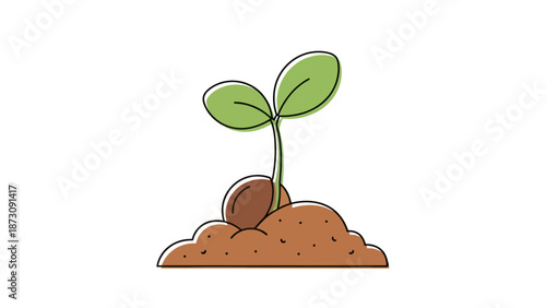 Young green plant sprouting from brown soil with seed