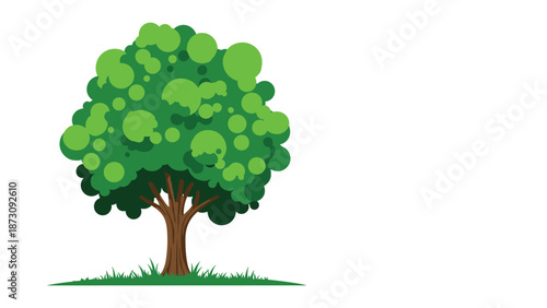 Large lush green deciduous tree with a brown trunk standing on a small patch of grass under a clean white space background.