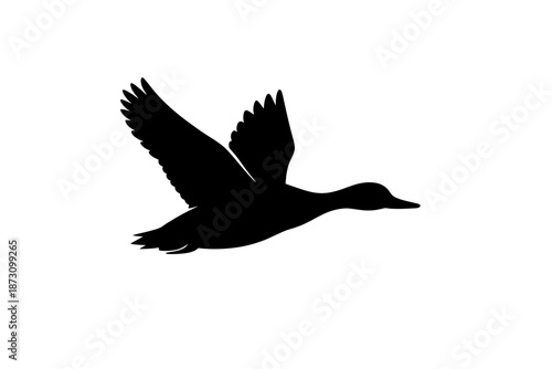 Animal and Nature Icon Set. Including wildlife, birds, trees, plants, flowers, habitats, ecosystems, environment, and more.