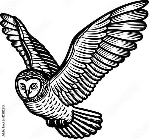 flying owl with detailed feathers in black and white illustration, graceful nocturnal bird in mid flight