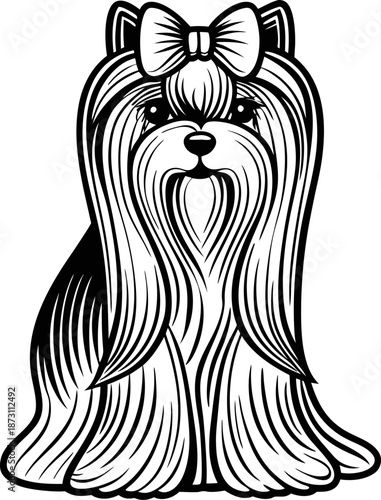 Yorkshire terrier with long flowing hair and bow sitting calmly in front view