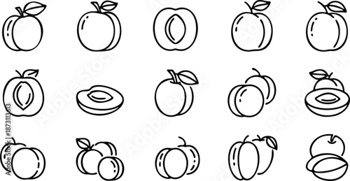 Outline set of black and white vector apricot icon collection 