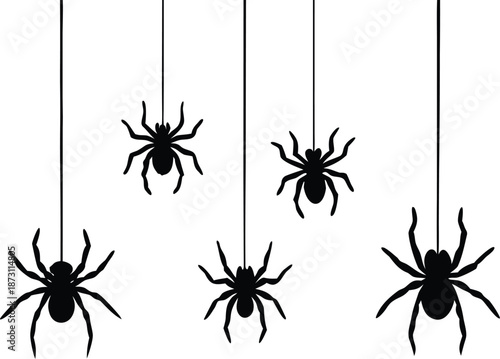 Set of Hand drawn vector illustration of four distinct spiders suspended on threads in varying sizes and poses