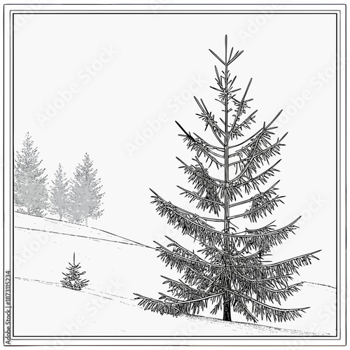 Monochrome Illustration of Evergreen Trees in a Winter Landscape.