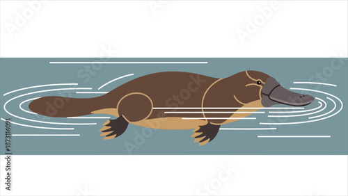 Cute Platypus Swimming In Water Illustration
