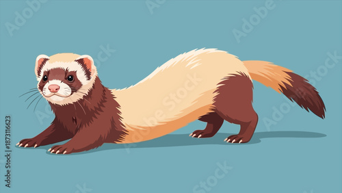 Playful brown and white ferret stretching, showcasing its agile and curious spirit