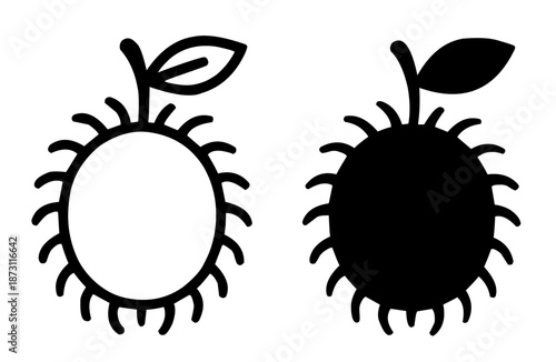 Tropical fruit icon, rambutan illustration in outline and silhouette style