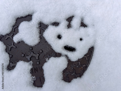 Panda bear shape in melting snow on sewer cap
