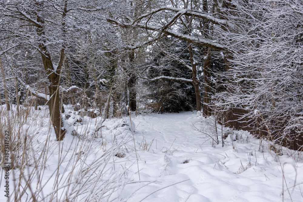 Fototapeta premium Zimowy krajobraz Mazur. Piękna zima w Polsce