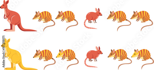 Australian marsupial character set featuring kangaroo and numbat walking standing poses cartoon wildlife animal vector illustration