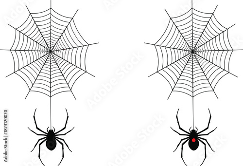 Black spider silhouette hanging from a cobweb with red widow spot detail for halloween spooky decoration and nature horror concepts