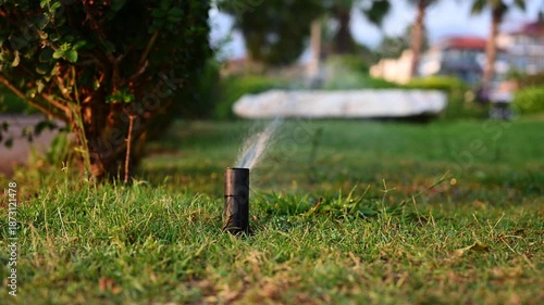 Irrigation system maintains humidity in garden, and efficient watering keeps backyard lush and green on hot summer days. Sprinkler system provides even spray of water for summer lawn care