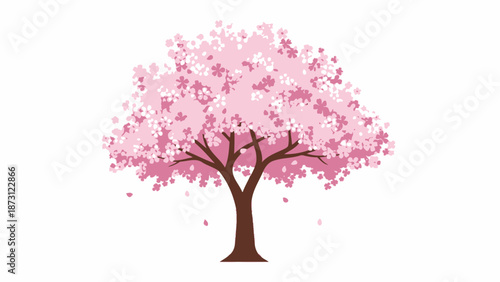 Pink Cherry Blossom Tree with Falling Petals