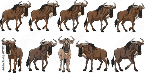 Cartoon wildebeest character set with walking and standing poses, African safari animal vector illustration