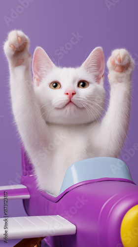 Playful white kitten with paws raised sitting in toy airplane against purple background
