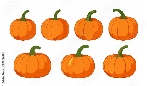 Decorative autumn orange pumpkins vector illustration set