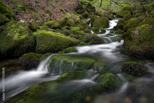 Moss-Covered Rocks and Stream in Argovejo beech Forest, León, Castilla y Leon, Spain