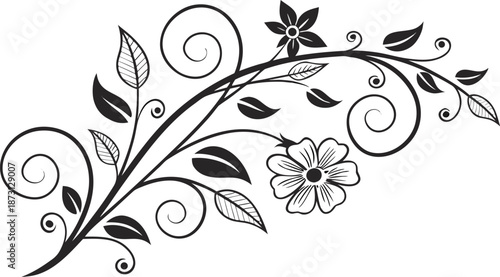 Ornamental design elements - a collection of ornate black and white floral vector elements. Each design should feature intricate swirls, curls, and botanical motifs such as leaves, vines, petals.