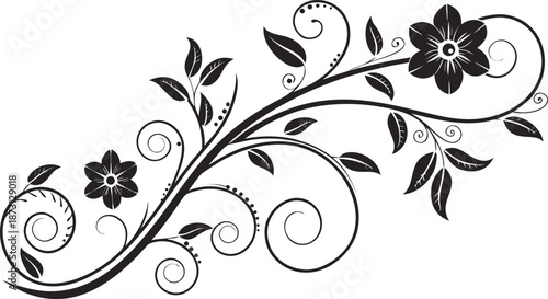 Ornamental design elements - a collection of ornate black and white floral vector elements. Each design should feature intricate swirls, curls, and botanical motifs such as leaves, vines, petals.