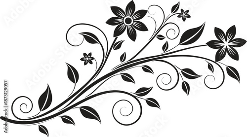 Ornamental design elements - a collection of ornate black and white floral vector elements. Each design should feature intricate swirls, curls, and botanical motifs such as leaves, vines, petals.