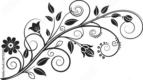Ornamental design elements - a collection of ornate black and white floral vector elements. Each design should feature intricate swirls, curls, and botanical motifs such as leaves, vines, petals.
