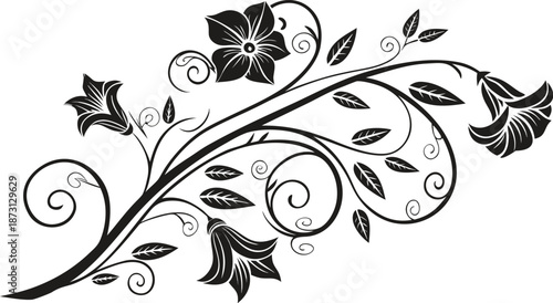 Ornamental design elements - a collection of ornate black and white floral vector elements. Each design should feature intricate swirls, curls, and botanical motifs such as leaves, vines, petals.