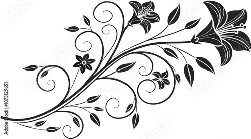 Ornamental design elements - a collection of ornate black and white floral vector elements. Each design should feature intricate swirls, curls, and botanical motifs such as leaves, vines, petals.