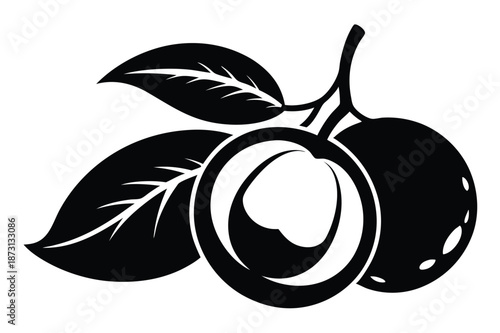 Dragon Eye Fruit Silhouette, Exotic Longan Graphic Illustration