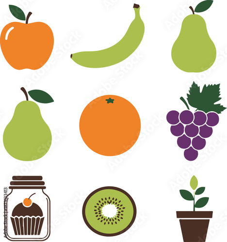 Colorful illustration of various fruits and a plant