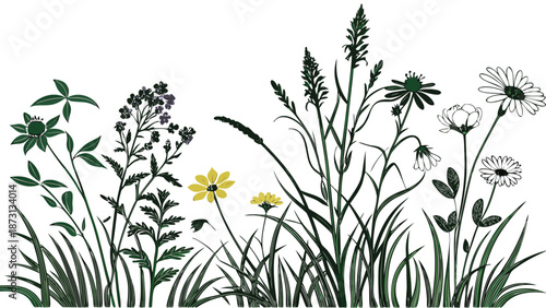 Wildflower Meadow Silhouette A Symphony of Natures Beauty.