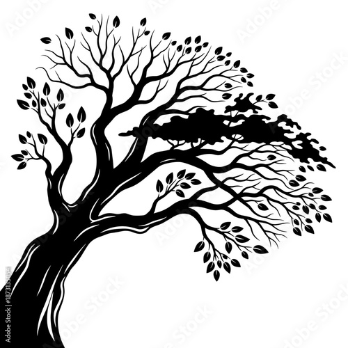 Silhouette of a tree with sparse leaves and branches.
