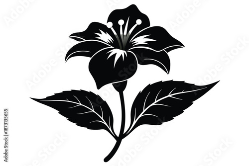 Elegant Lobelia Wildflower Silhouette, Black and White Botanical Vector Illustration