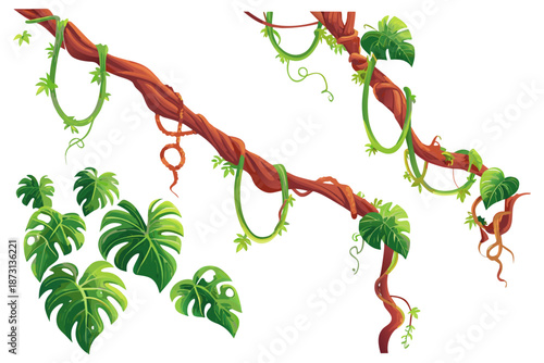 Set of stylized jungle branches with hanging vines and leaves, smooth vector illustration, bright colors, clean outlines, no text
