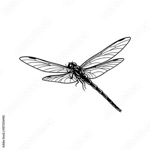 Detailed black and white illustration of a dragonfly in flight.
