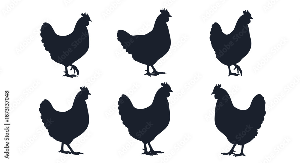 Fototapeta premium Group of six black silhouettes of hens or chickens shown in various standing and walking poses on a white background.