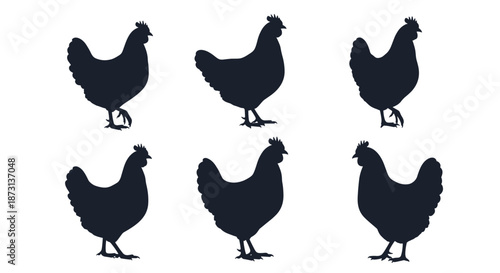 Group of six black silhouettes of hens or chickens shown in various standing and walking poses on a white background.