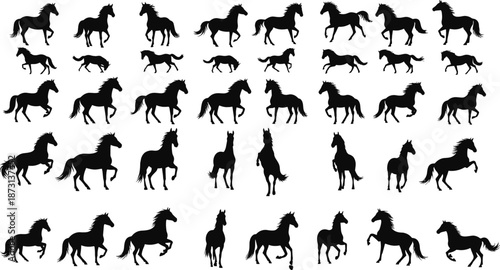 Horse silhouette collection with multiple running and standing poses, black animal vector illustration set
