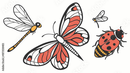 Colorful Insect Collection Dragonfly Butterfly and Ladybug Illustration.