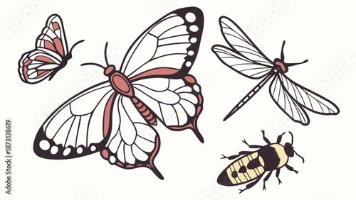 Diverse Insect Collection Butterflies Dragonfly and Bee Illustration.