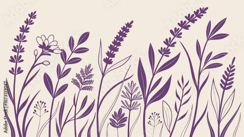 Elegant Lavender Field Illustration A Serene Botanical Design.