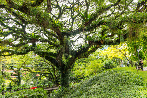 Fort Canning Park, Singapore