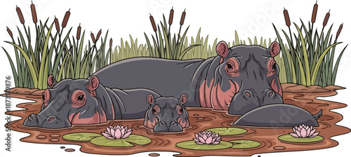 Hippopotamus family in the water with water lilies and reeds.