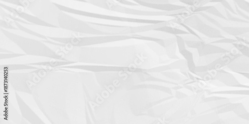 Creased paper parchment white blank page detail wrinkle blank white canvas. old paper crumple texture wrinkle. parchment empty letter texture.