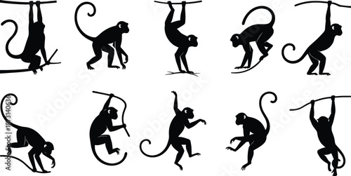 Monkey silhouette character set with swinging, climbing, and jumping poses, black wild primate vector illustration