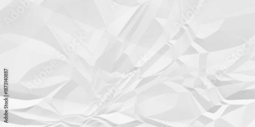 Creased paper parchment white blank page detail wrinkle blank white canvas. old paper crumple texture wrinkle. parchment empty letter texture.