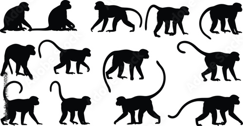 Monkey silhouette animal set with walking, sitting, and jumping poses, black wild primate vector illustration