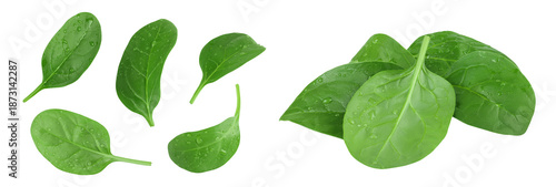 Baby spinach leaves isolated on white background. Top view. Flat lay