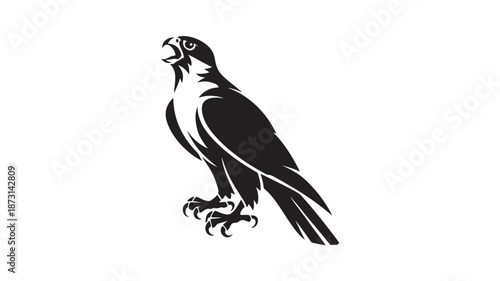 Black Falcon Bird Silhouette Isolated on White Background